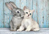 Chat et lapin - 500 mcx