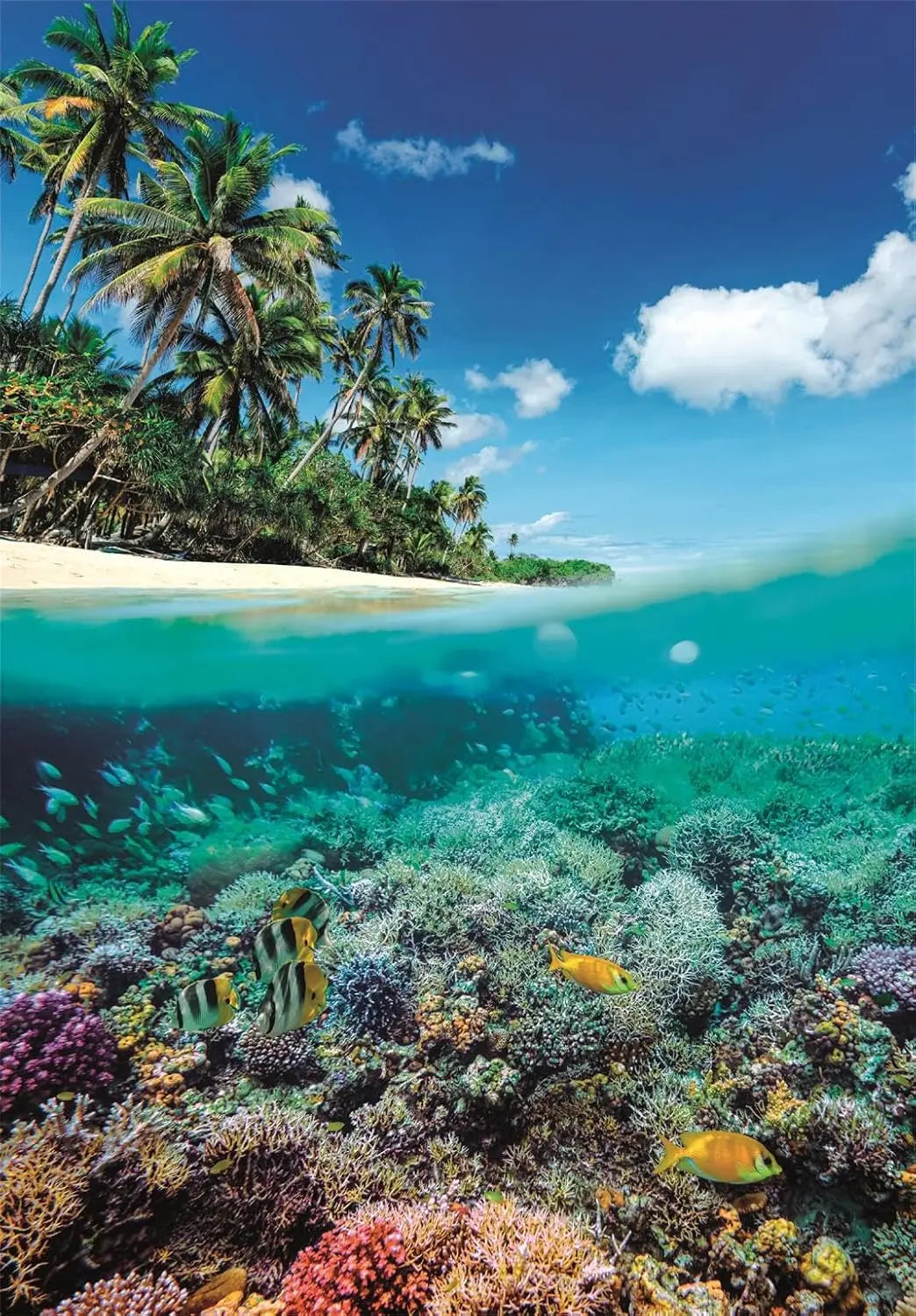 Summer Paradise 2015〜2017 Summer Paradise - 1000 pcs – La Ribouldingue