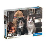 Cute Kittens - 1000 pcs