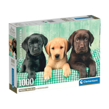 Three Labradors - 1000 pcs