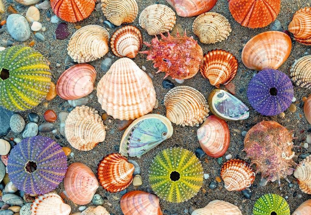 By the Seashore - 300 pcs