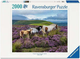 Wild Horses in the Heather - 2000 mcx