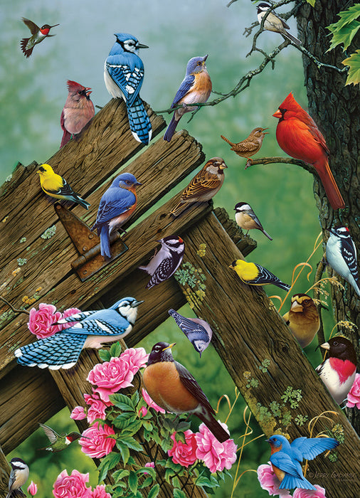 Birds of the Forest - 1000 mcx