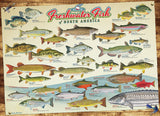 Freshwater Fish of North America - 1000 pcs