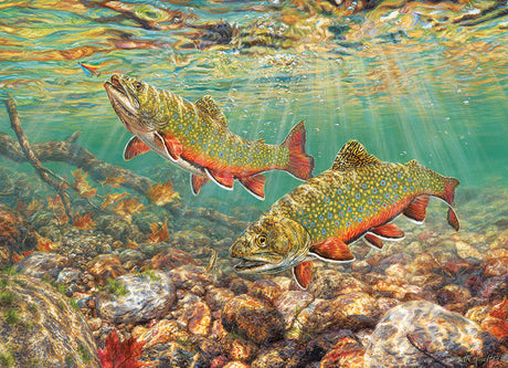 Brook Trout - 1000 pcs
