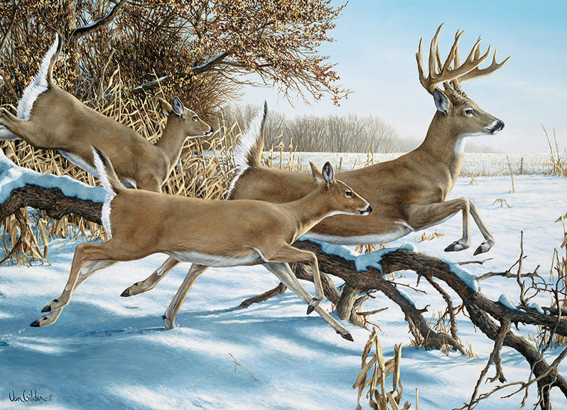 Breaking Cover - 1000 mcx