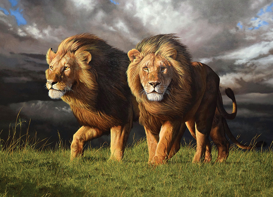 Approaching Storm - 1000 mcx