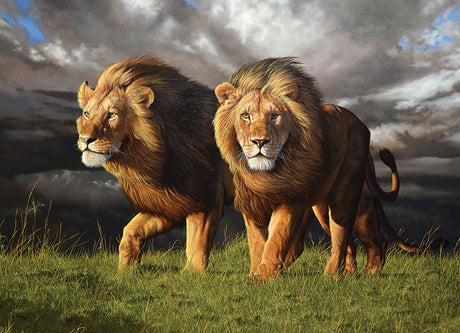 Approaching Storm - 1000 pcs