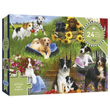 Dogs - 24 pcs XXL