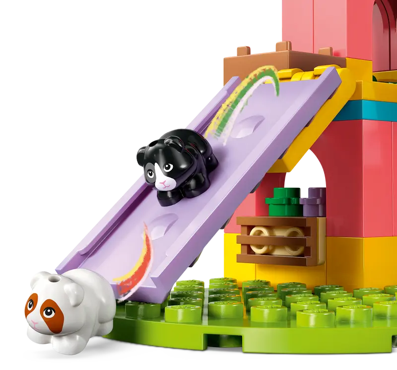 Guinea Pig Playground - Friends