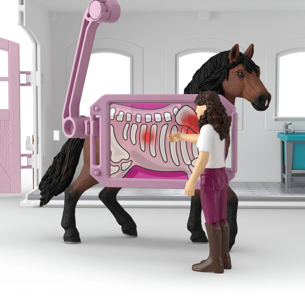 Clinique vétérinaire pour chevaux - Horse Club