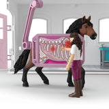 Clinique vétérinaire pour chevaux - Horse Club