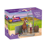 Lavage de chevaux de Sofia