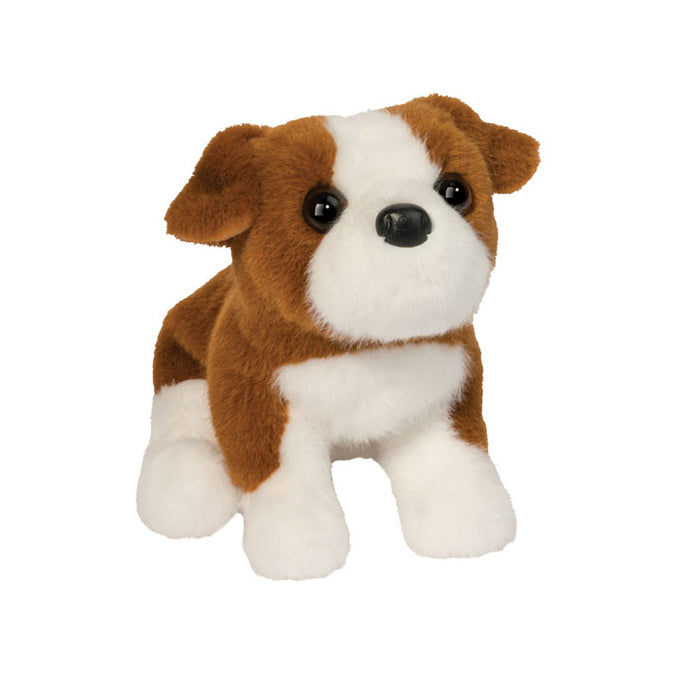 Bubbie le mini Bulldog