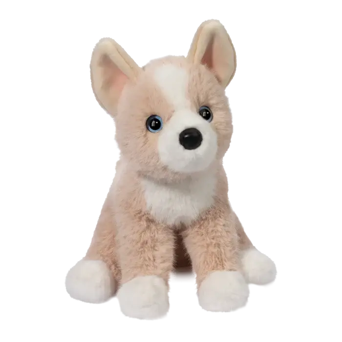 Pookie le Pomsky