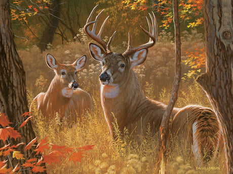 Secret Rendezvous - 275 pcs