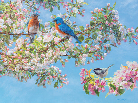 Blossom Festival - 275 mcx Large