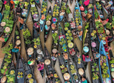 Floating Market in Indonesia - 500 mcx