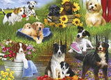 Dogs - 24 pcs XXL