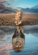 Réflexion - 300 mcx