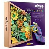 OKTO Wood & Craft - Succulentes - Énergie (Multi)