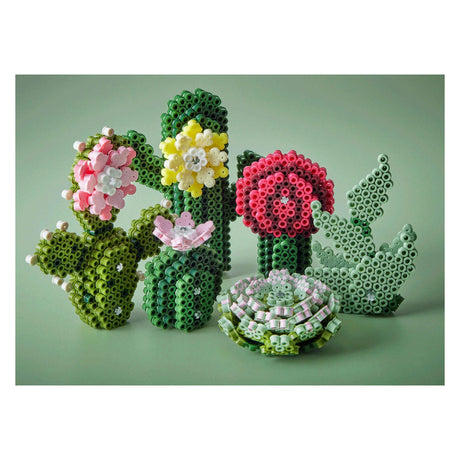 Hama Art - Succulents 6000 Beads