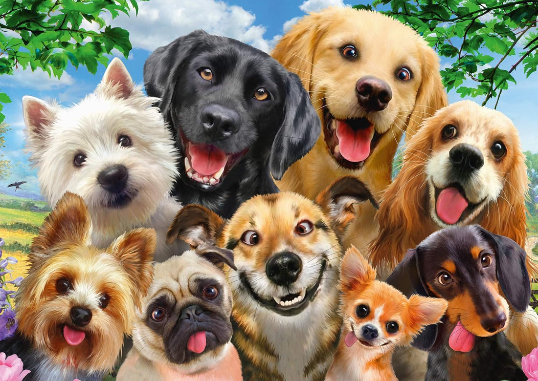 Selfie des chiens - 500 pcs