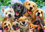 Selfie des chiens - 500 pcs