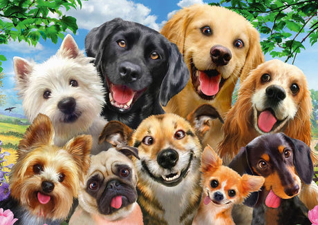 Selfie des chiens - 500 mcx