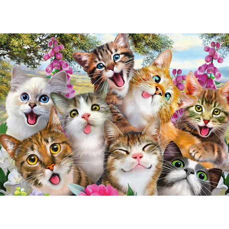 Selfie des chats - 500 mcx