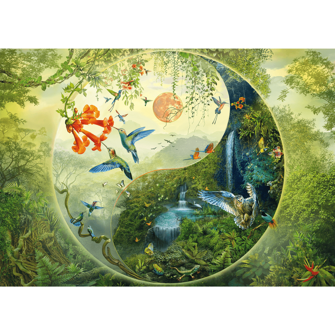 Yin et Yang dans la forêt de colibris - 1000 mcx