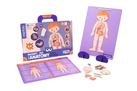 MierEdu - Magnetic Pad - Human Body (Multi)