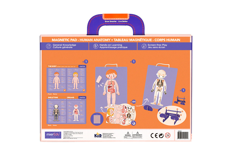 MierEdu - Tableau magnétique - Corps humain (Multi)