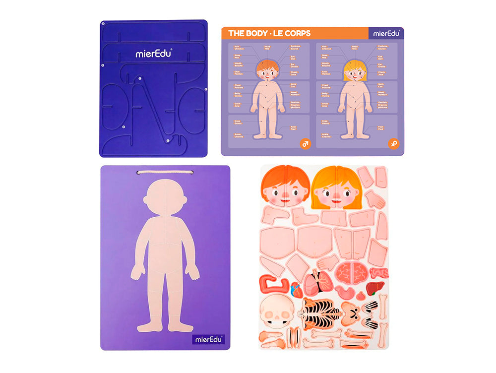 MierEdu - Tableau magnétique - Corps humain (Multi)