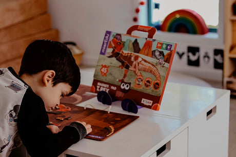 MierEdu - Magnetic Pad - T Rex (Multi)