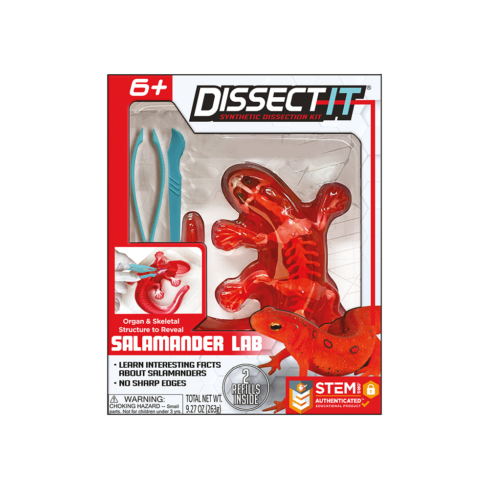 Dissect It - Salamandre