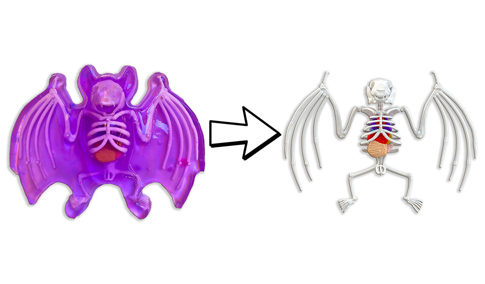 Dissect It - Bat in the lab