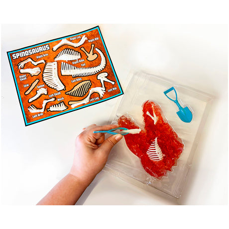 Dissect It - Dinosaure