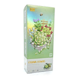 Plantes succulentes en pot - LOZ Mini