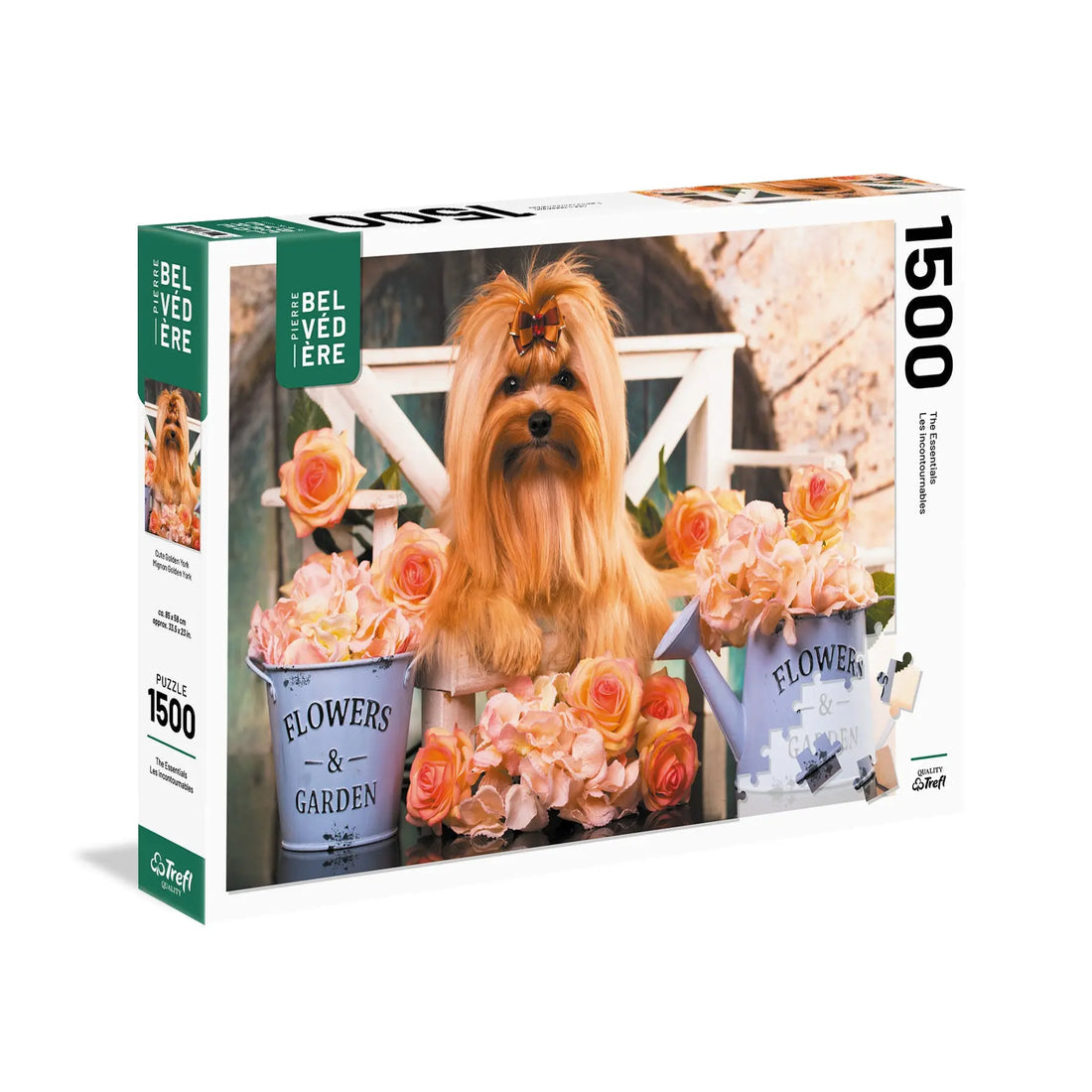 Cute Golden York - 1500 pcs