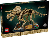 Dinosaur Fossils: Triceratops