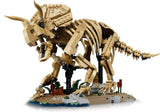 Dinosaur Fossils: Triceratops