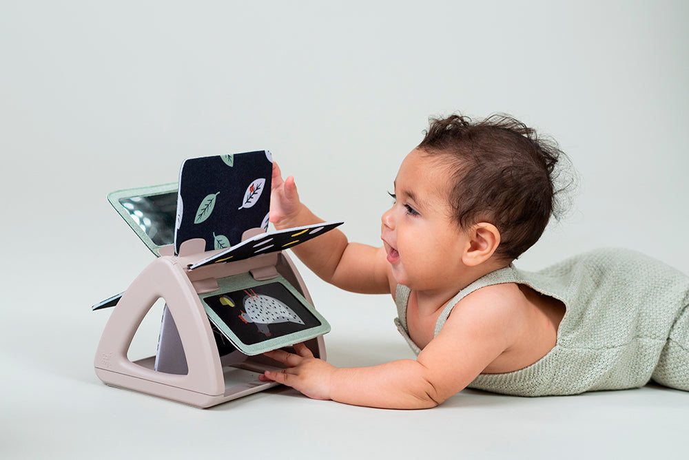 Taf Toys - Livre d'activités à tourner