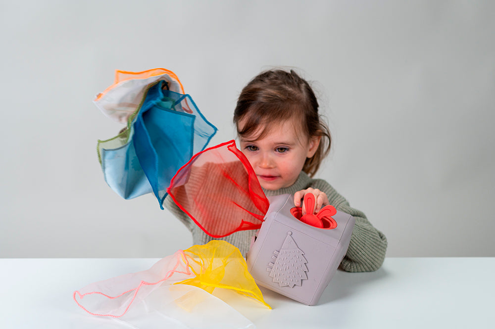 Taf Toys - Boite à mouchoirs pop-up