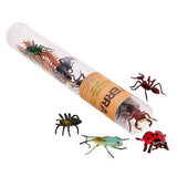 Terra - Tube insectes (14)