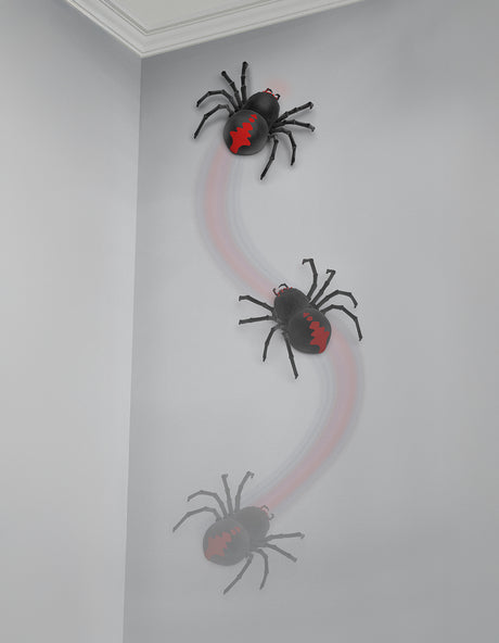 Terra - Araignée veuve noire téléguidée
