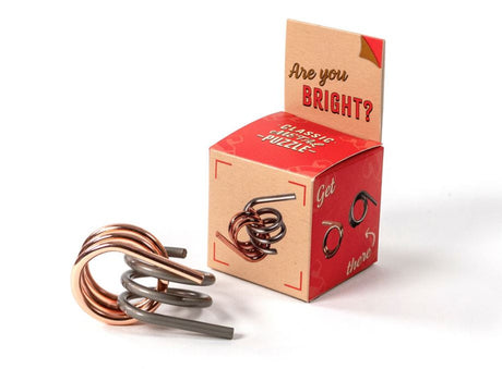 Wood and Metal Brainstorm Puzzle