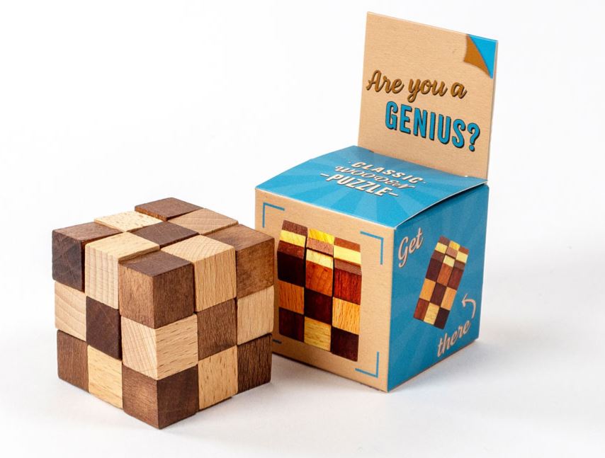 Wood and Metal Brainstorm Puzzle