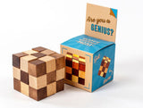Wood and Metal Brainstorm Puzzle