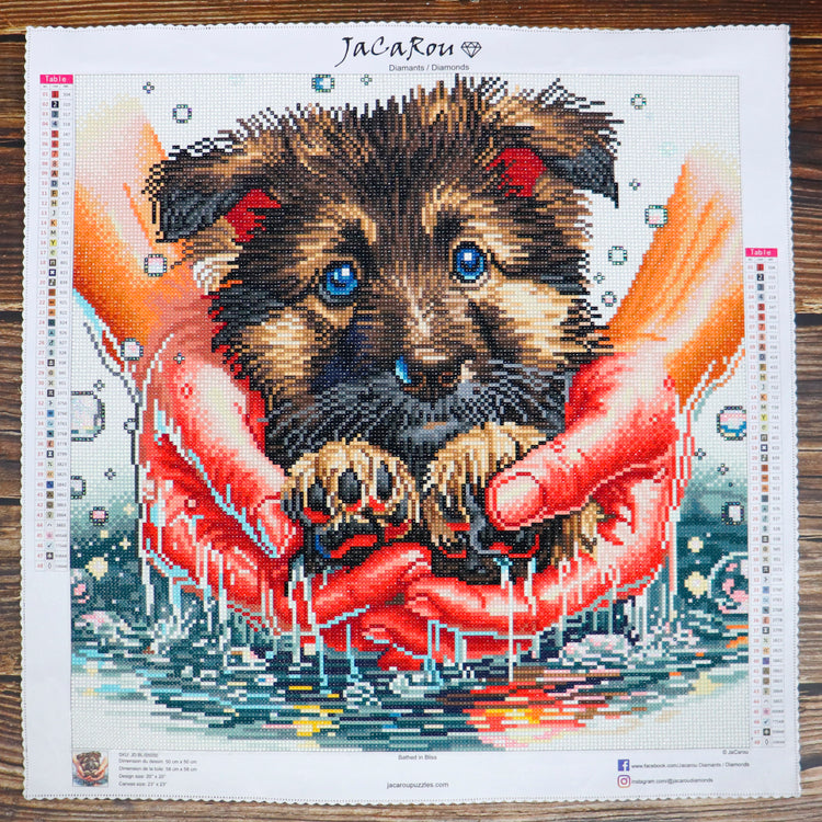 Diamond Painting - Bathed in Bliss